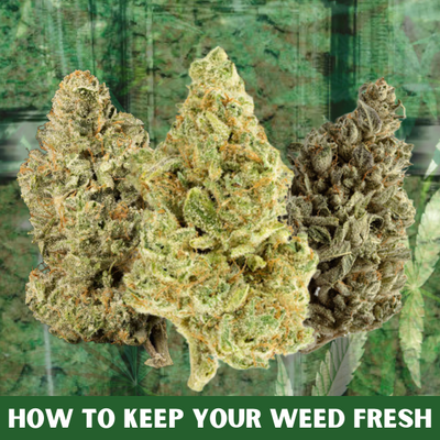 How to Keep Your Weed Fresh